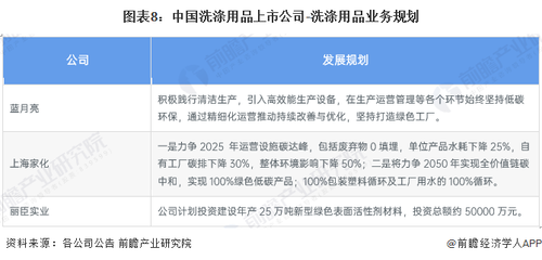 中国洗涤用品上市公司业务规划与投资咨询分析