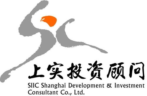 上海上实置业 专业投资咨询引领资产增值新路径